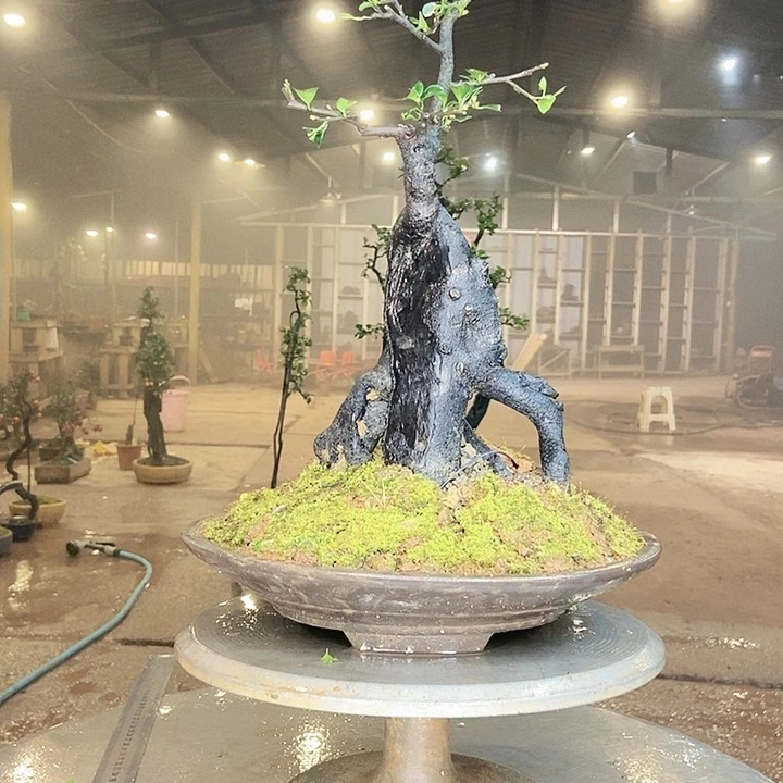 你的电话怎么一直关机呢你