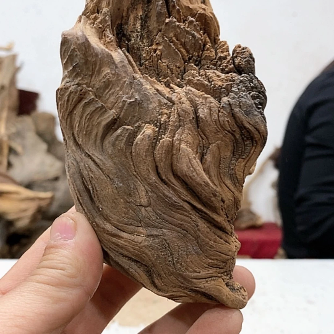 【闪购商品】柏木壹*堂我们都是好孩子