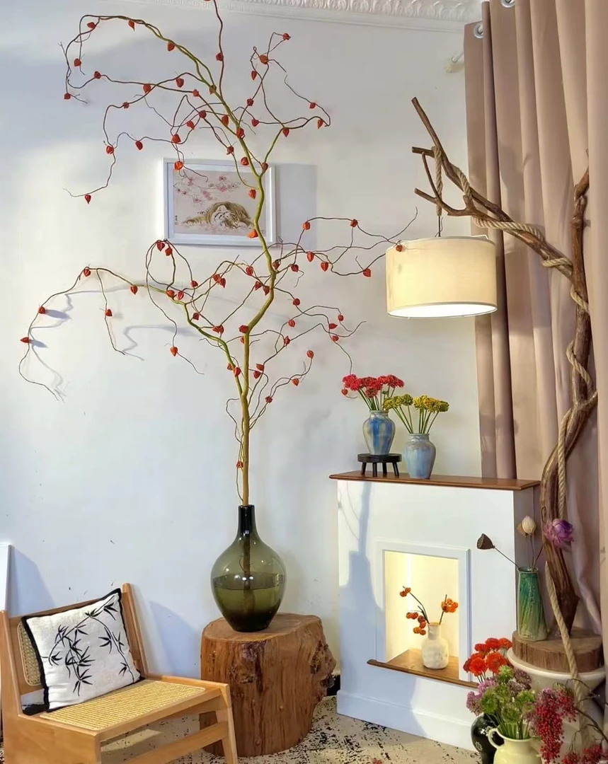 锦绣灯笼果金龙柳酸浆果室内轻奢氛围感水培金枝玉叶金玉满堂华灯