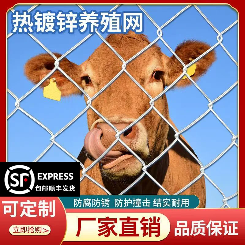 热镀锌铁丝网围栏加粗养鸡狗牛羊网养殖网勾花网钢丝网户外防锈网