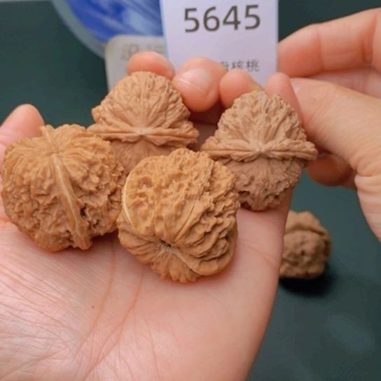 把件文玩核桃磨*37白狮子137狮子头5645
