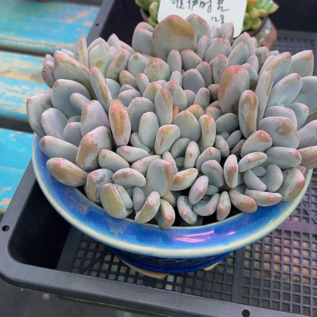 唯***光Vghhvvhvhvvvvhhbbbbbbbb