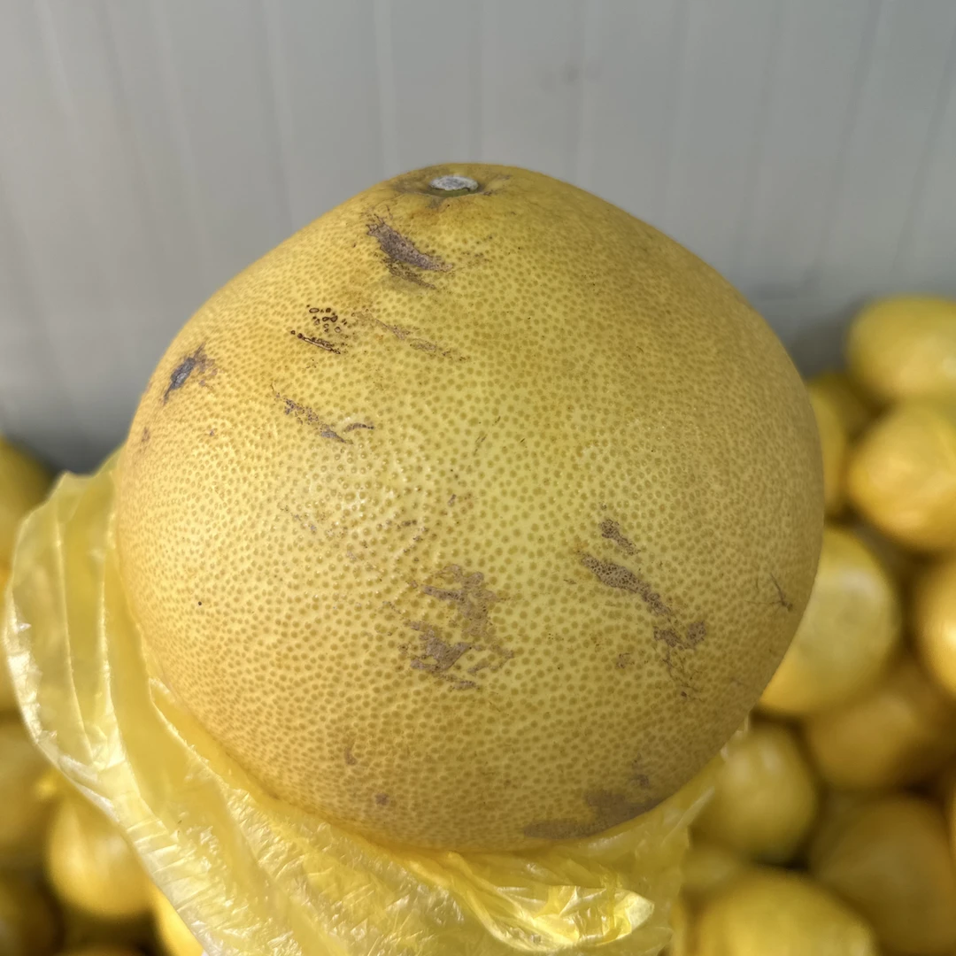 果农直销玉环文旦【花皮瑕疵小丑果】1个也是批发价！