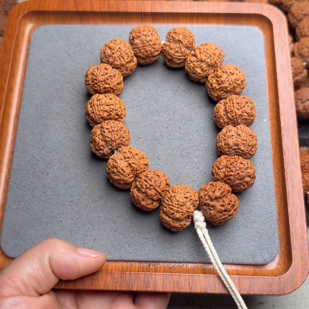 菩提菩提13号尼泊尔大金刚24梅花蜂窝