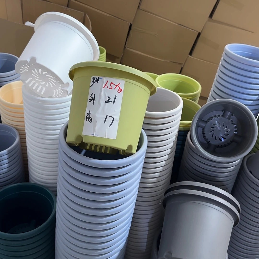 微瑕3号10个带托，