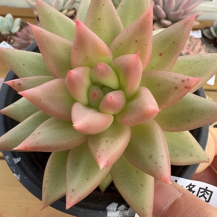 不知名111111125-47