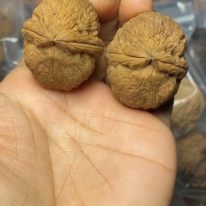 文玩核桃把件云南铁核桃20