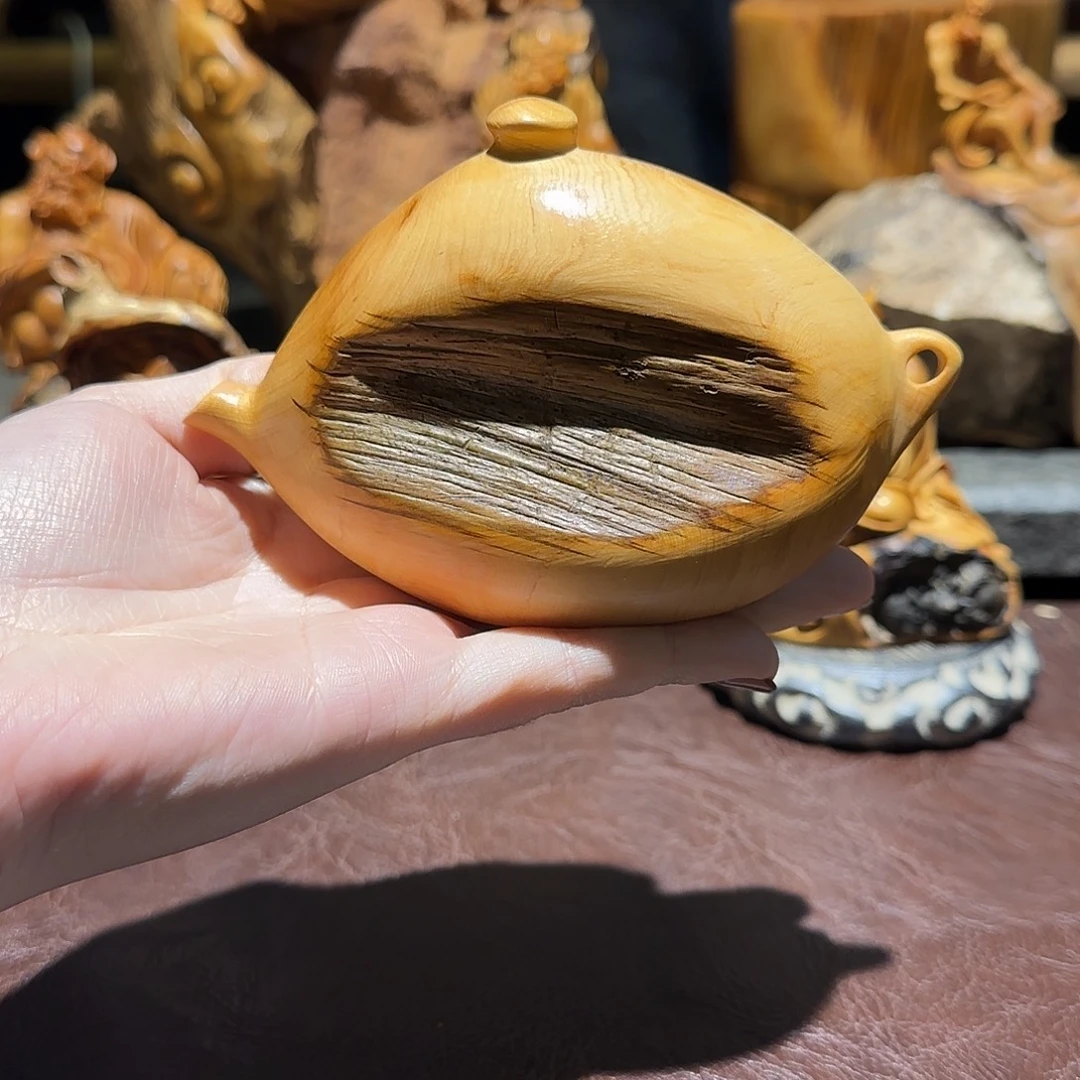 柏木（崖柏）太行集团