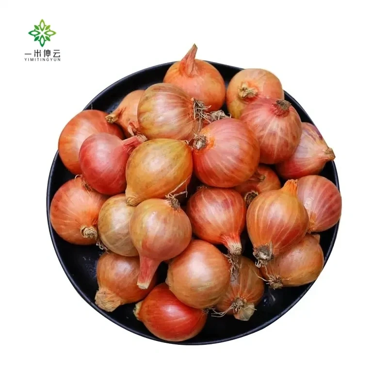 农家地产毛葱150g±10g/份