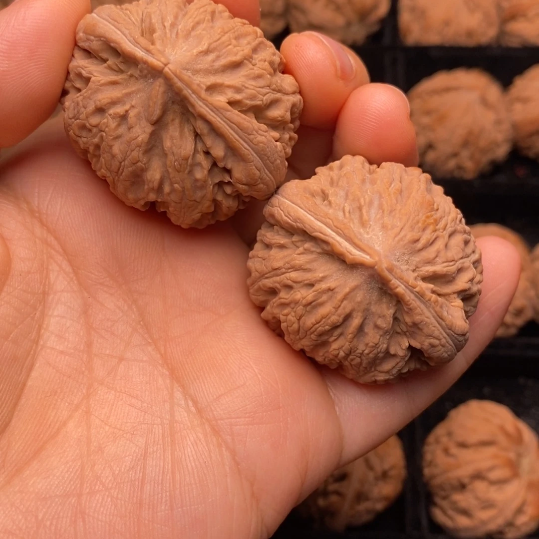 文玩核桃把件秦岭野生核桃