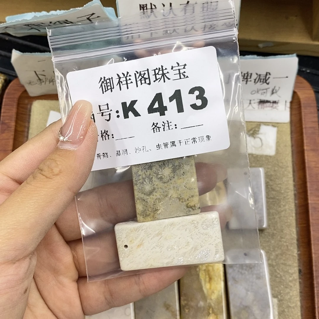 硅化珊瑚（珊瑚玉）未镶嵌颈饰没****态