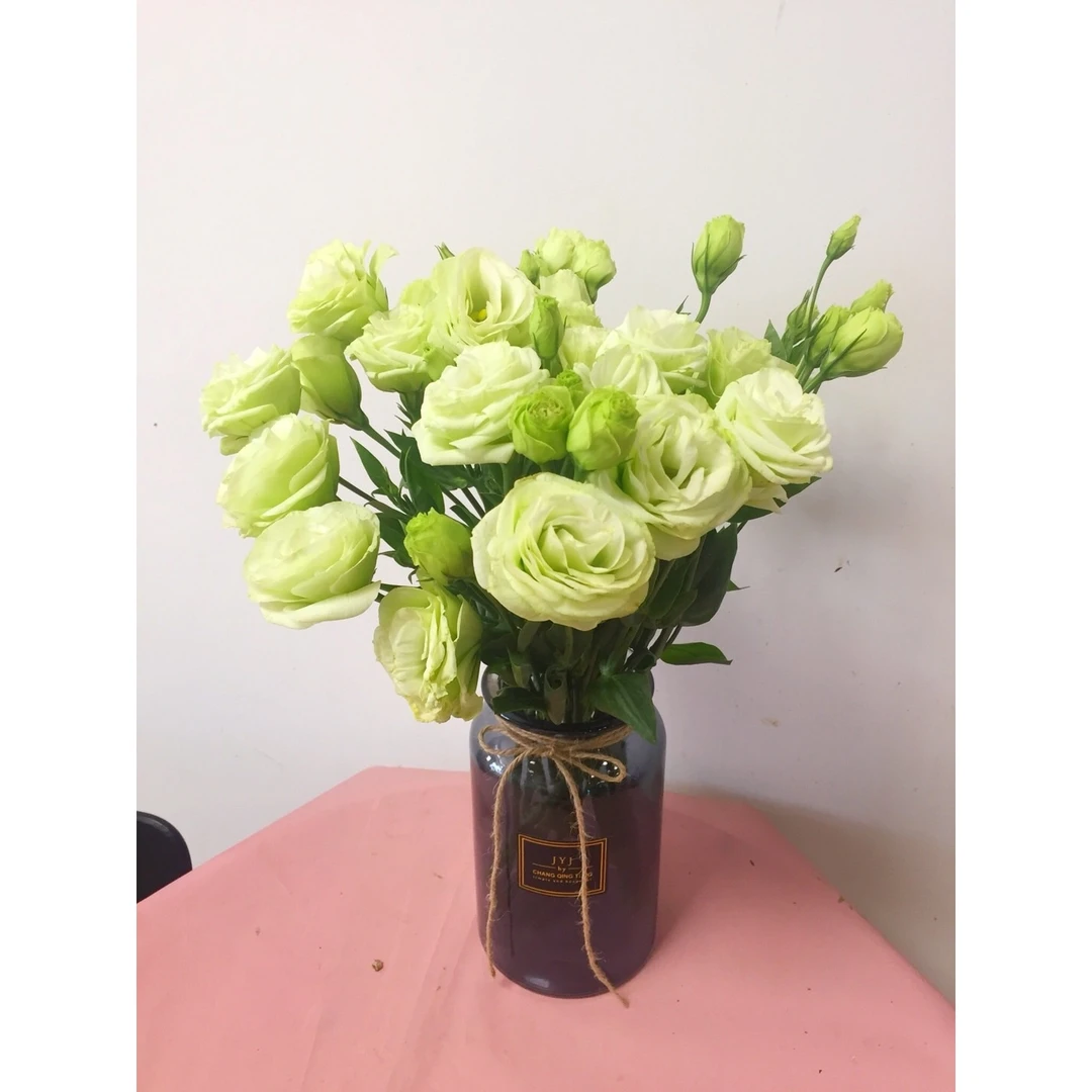 套餐01  绿色洋桔梗一小把6朵+白色单瓣紫罗兰一把