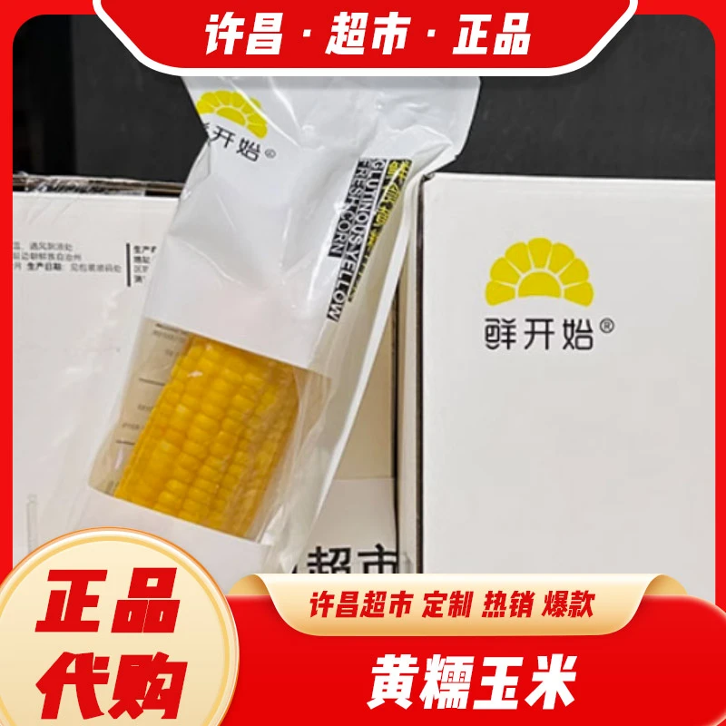 许昌黄糯玉米 东北黑土地种植 鲜开始香甜糯玉米许昌代购