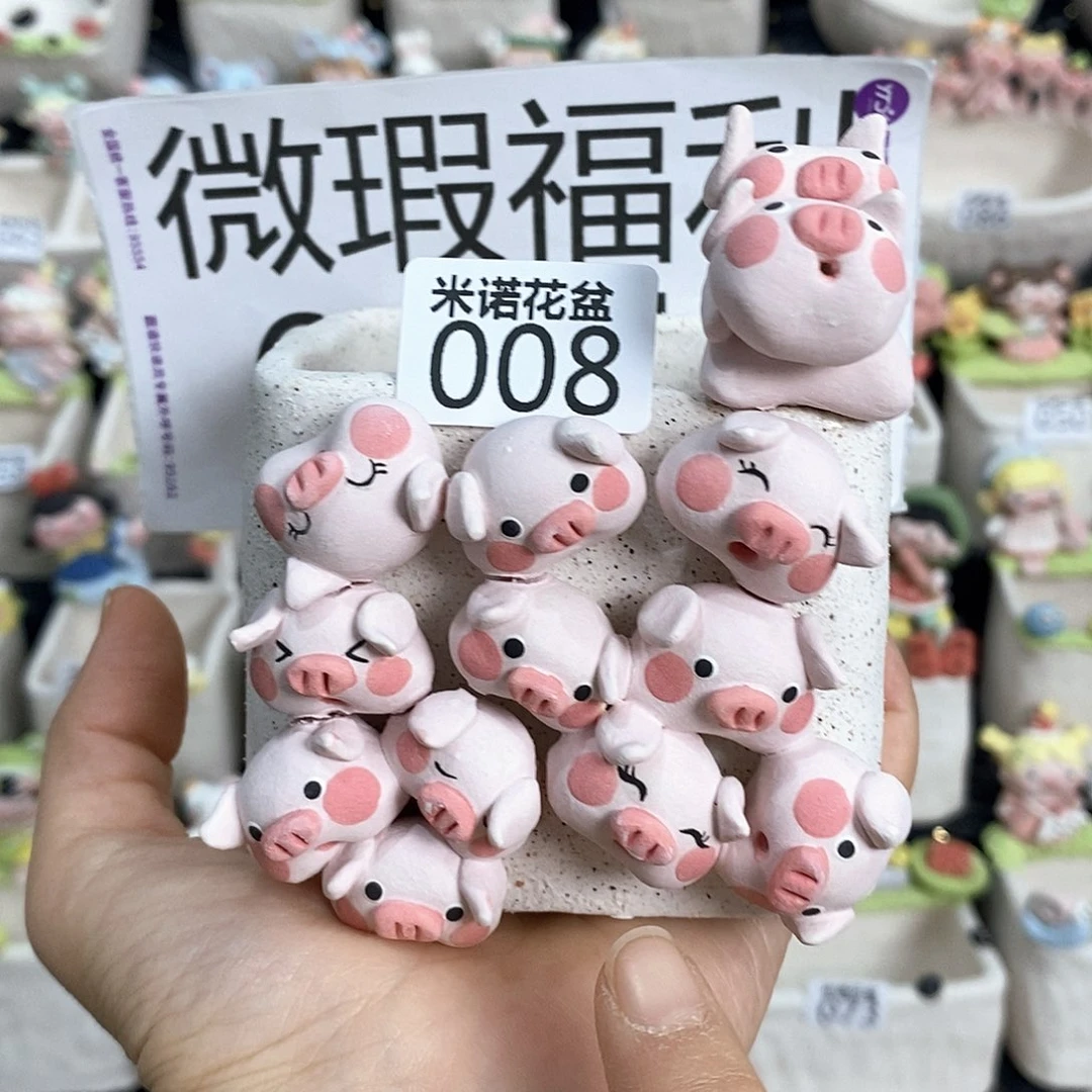 米诺多肉植物花盆008