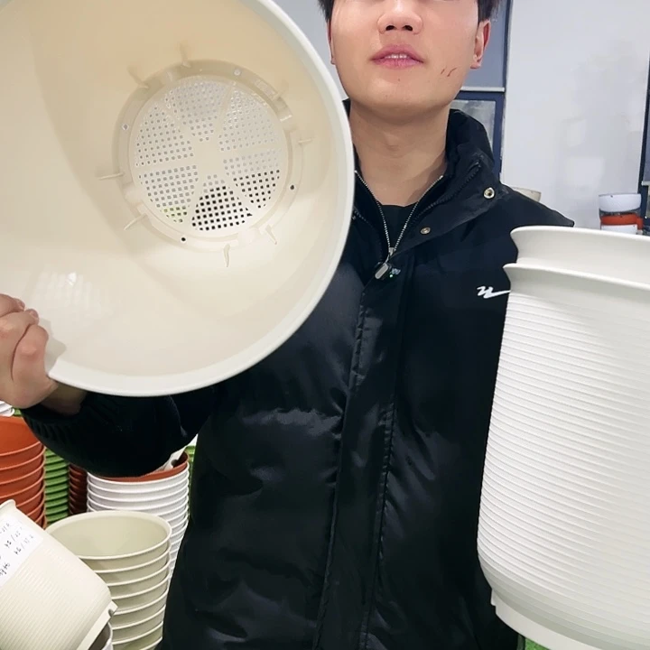 正品高陶口30高31白色3只无托