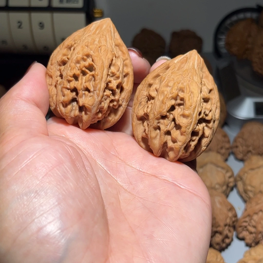 木质类大沽石40全品