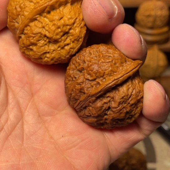 文玩核桃吊坠Y龙脊金蟾41