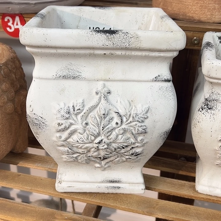 大号88599969969969966