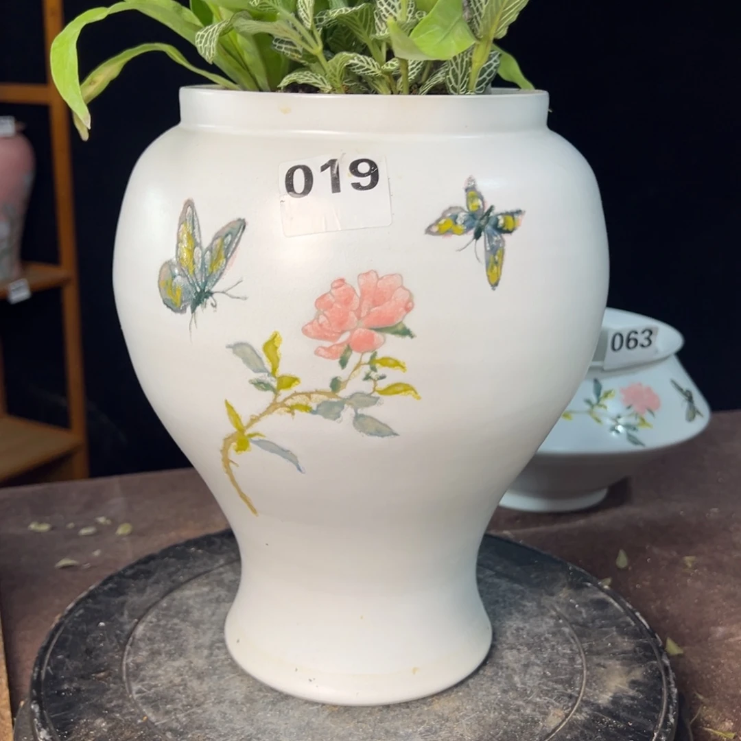 哦一执照卓越随心所欲去