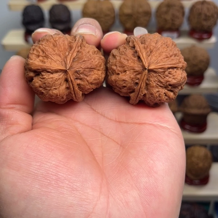 姚***，核桃文玩铁核桃龟背