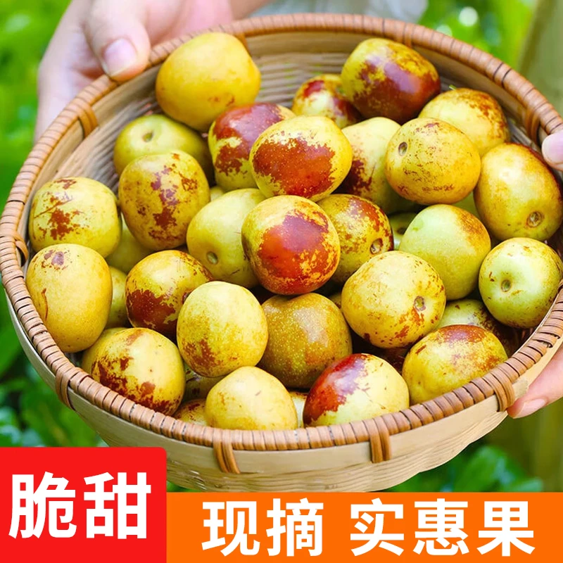 【脆甜】冰糖冬枣YT新鲜水果大枣应季枣子青枣冰糖鲜枣临猗批发★