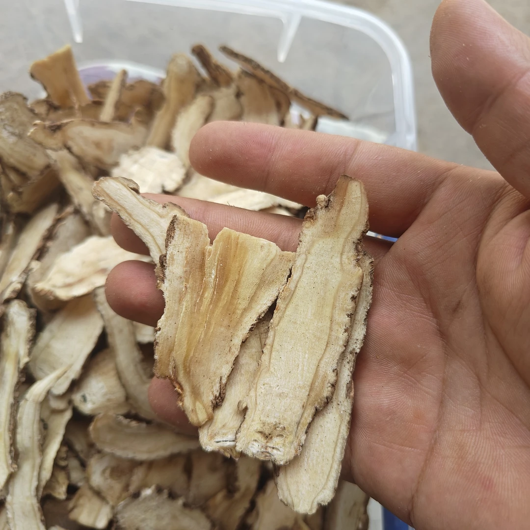 甘肃岷县精选当归小头片油脂圈清晰可见