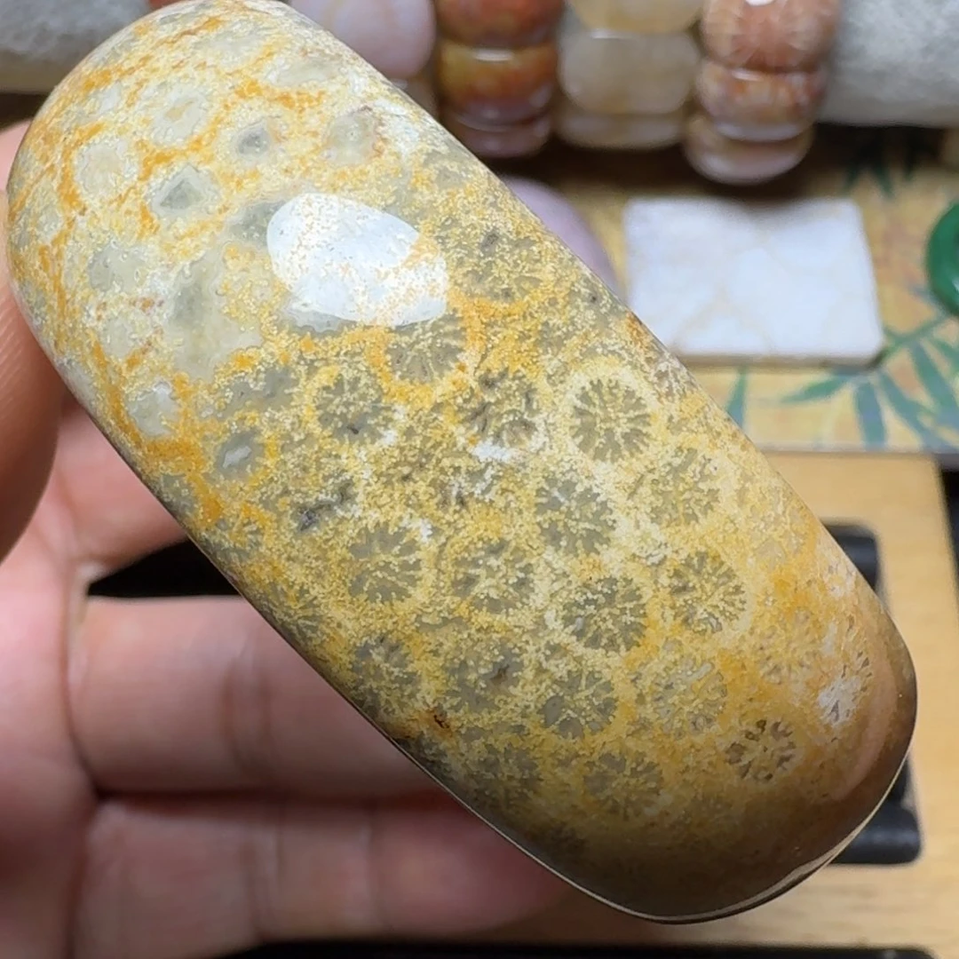 硅化玉55圈口未镶嵌