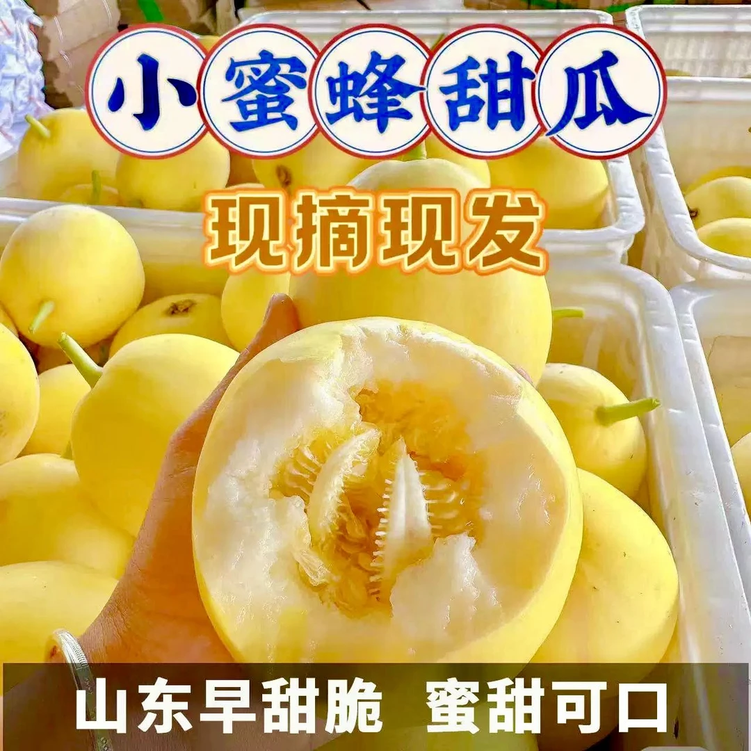 【京东包邮】山东沂蒙山蜜罐甜瓜4.5-5斤 嘎嘎甜（冰箱冷藏）
