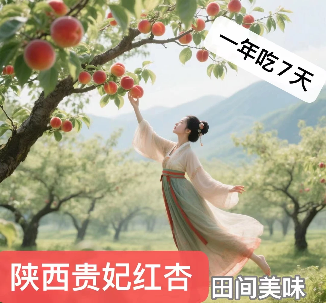 【放软纯甜】陕西太平红杏 酸 甜贵妃红杏 红杏产地直发净重2斤-4斤
