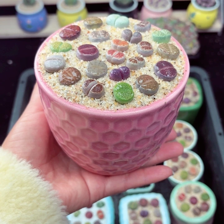 812零下地区记得拍保温箱