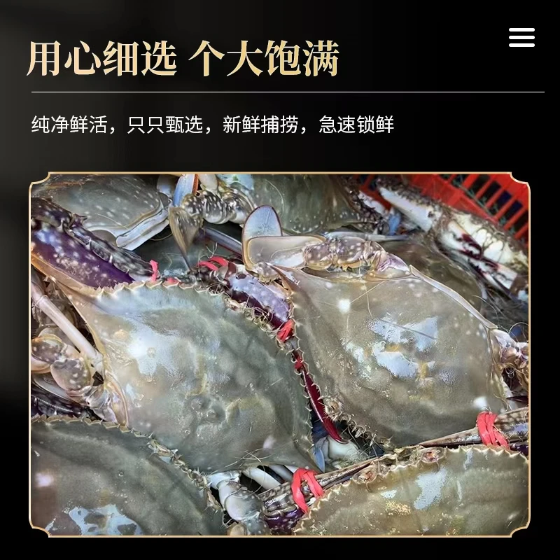 【特惠】【保鲜不保活】威海梭子蟹 3-4两一只 三斤 七成肥 仅售山东