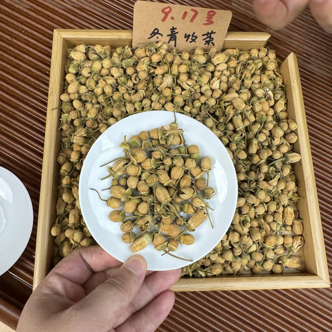 化州橘红花苞 20年老树头采花蕾 柚香花蜜甜 冬青收茶