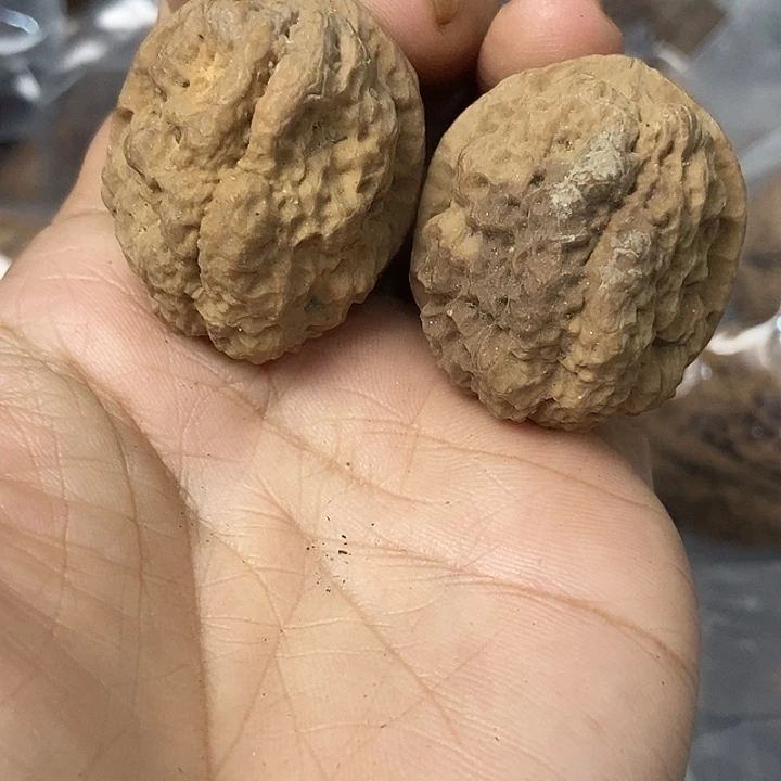 把件文玩核桃云南铁核桃基地28