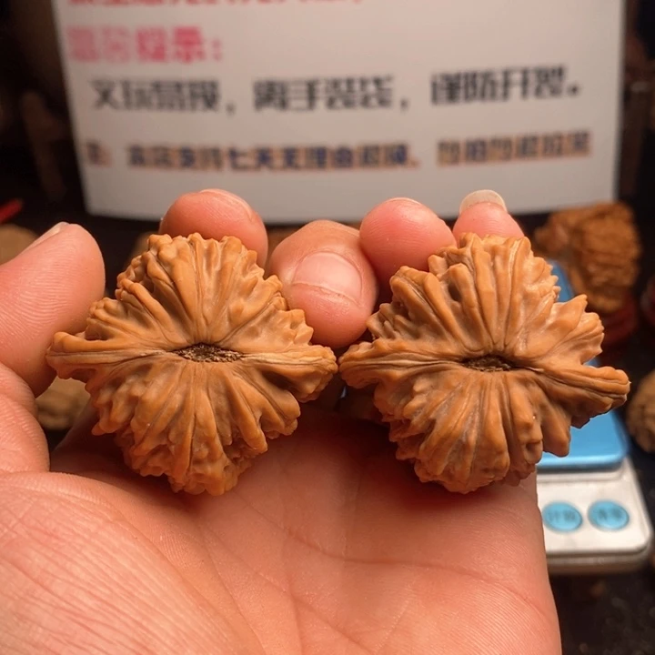 文玩核桃吊坠T****迟43楼子