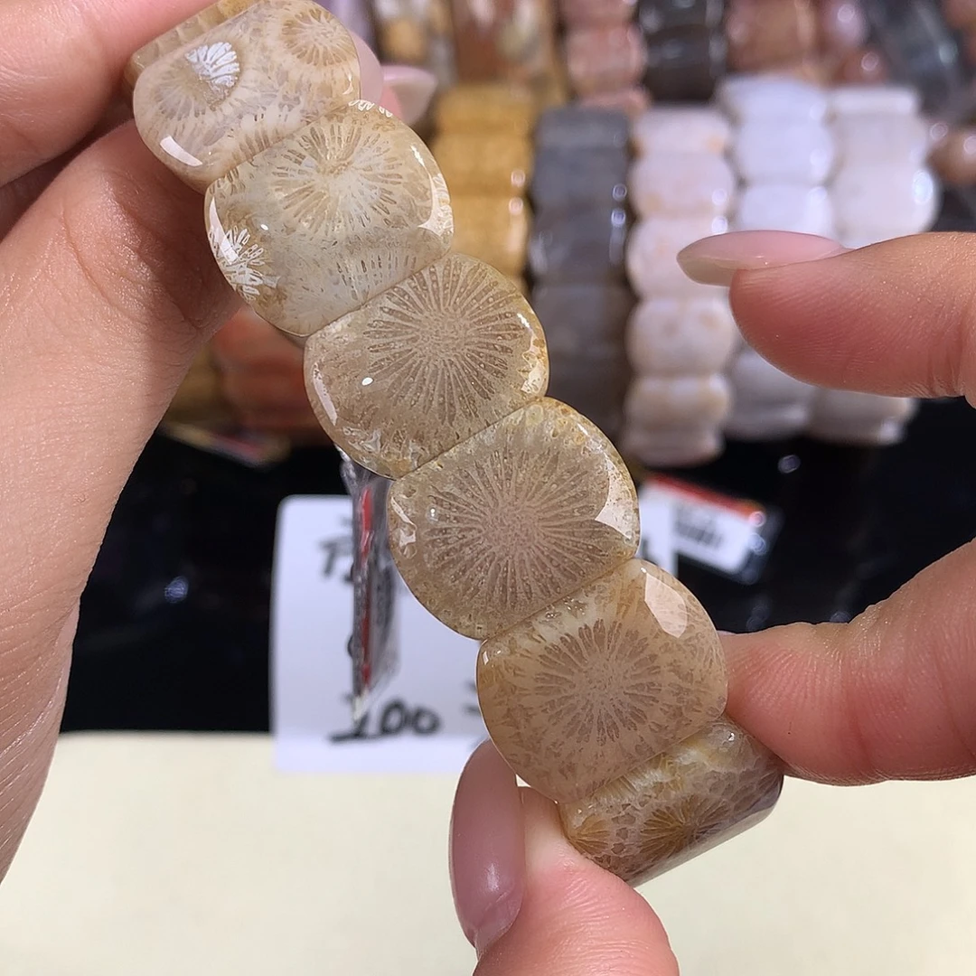 硅化珊瑚（珊瑚玉）未镶嵌吊坠(赠链)17号手排200漏128