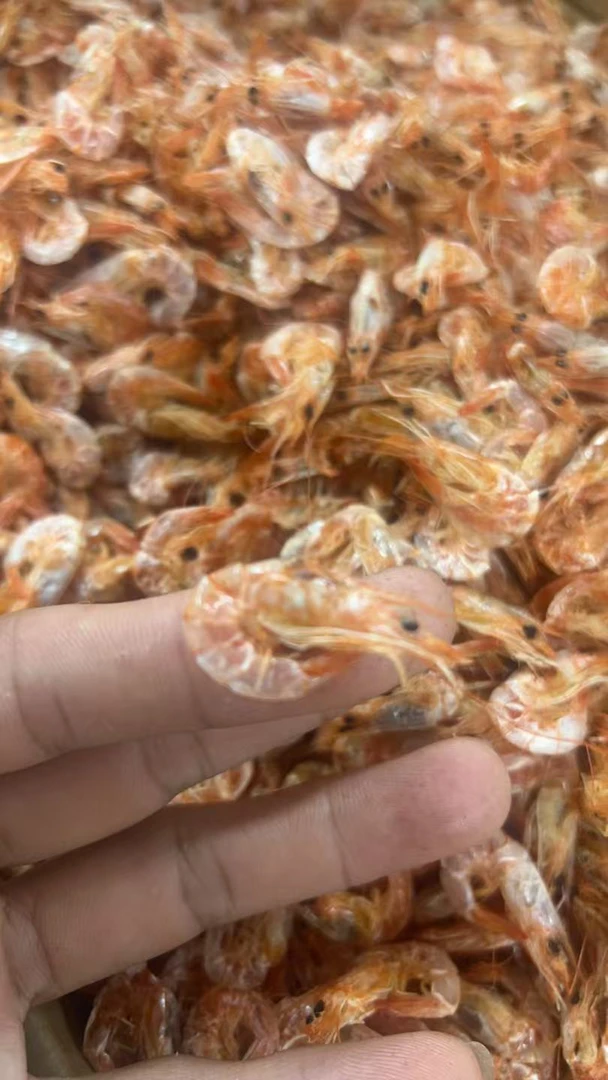 汕尾本港啤酒虾淡干小红虾
