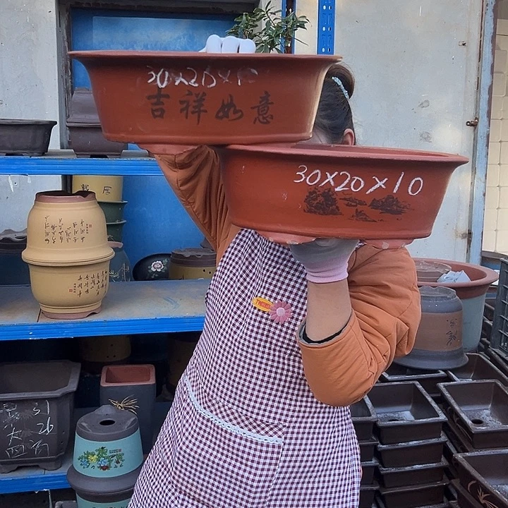 2个30红椭圆花盆花盆花盆花盆