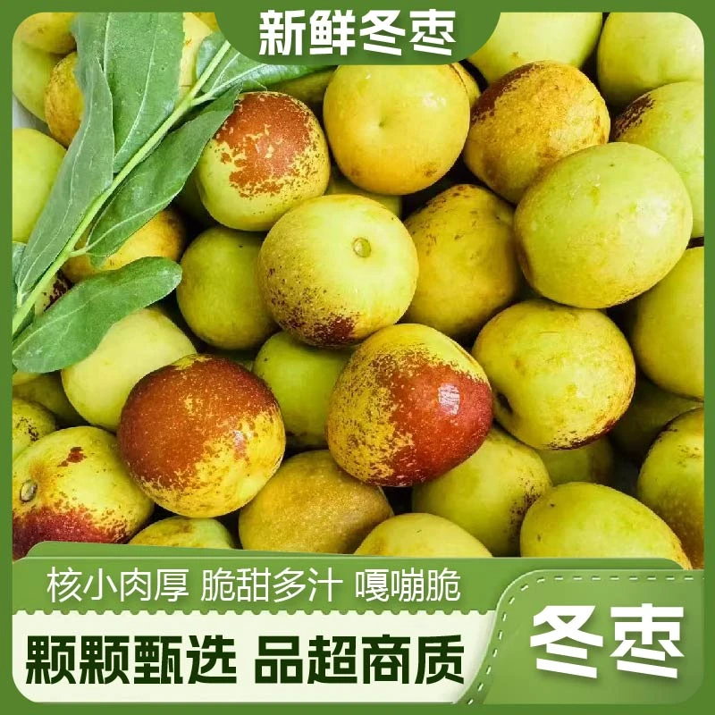山西大冬枣现摘现发脆甜多汁当季新鲜水果皮薄酸甜-梦镜专属