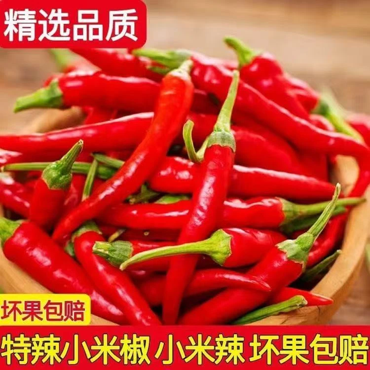 小米辣新鲜现摘云南小米椒超辣可泡椒的正宗辣椒特辣爆辣
