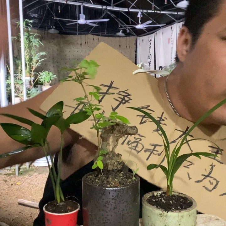 退款拉黑一物一拍11