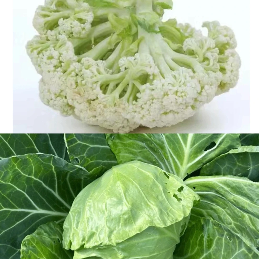 【小组合】菜花1个+圆白菜1个