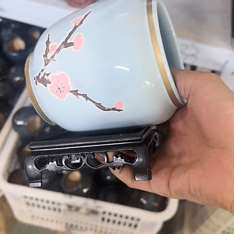 ·［送～白给塑料托盘］·6053