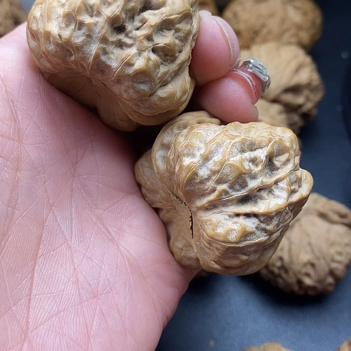 吊坠龙脊菩提蛙43