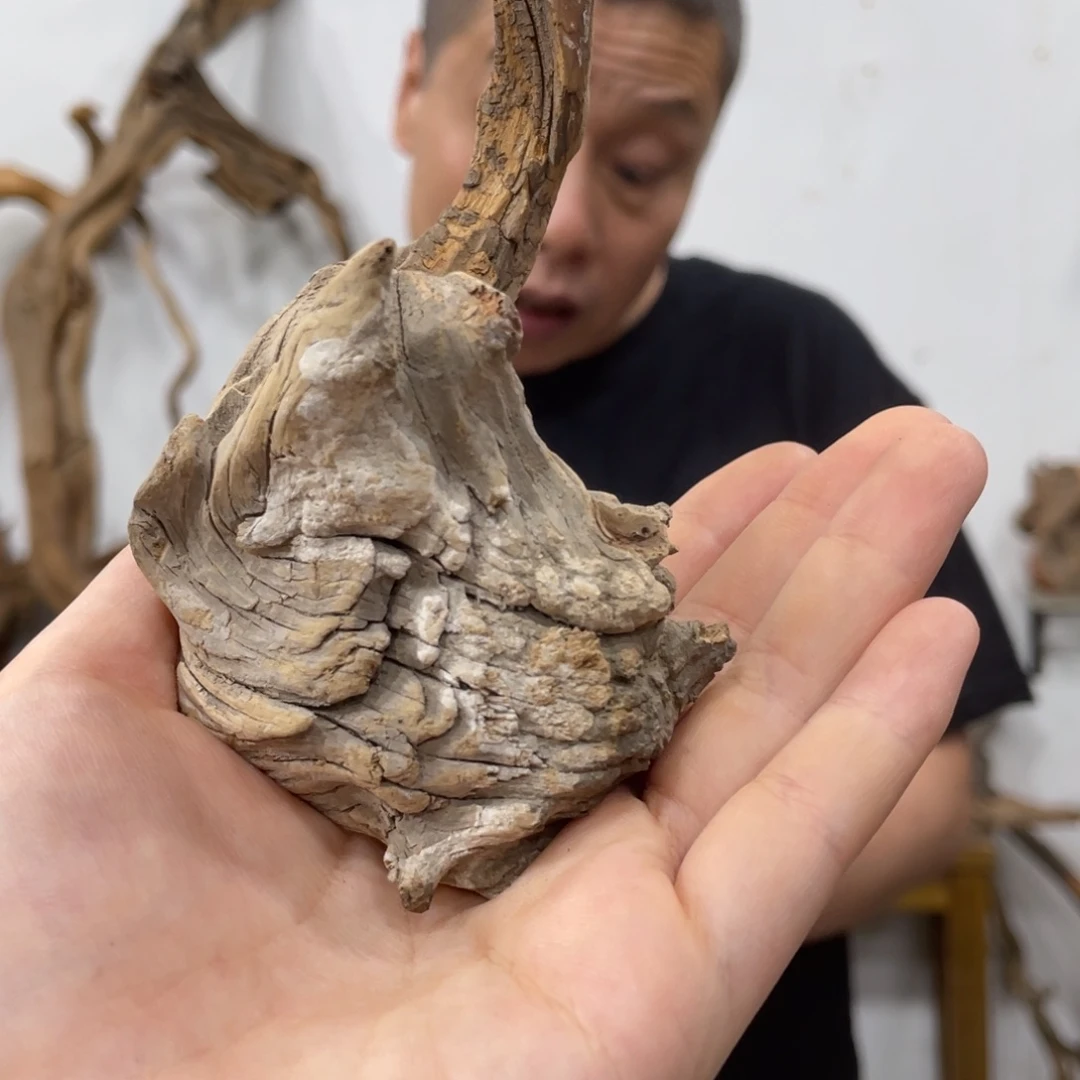马***行我们都是好孩子啊