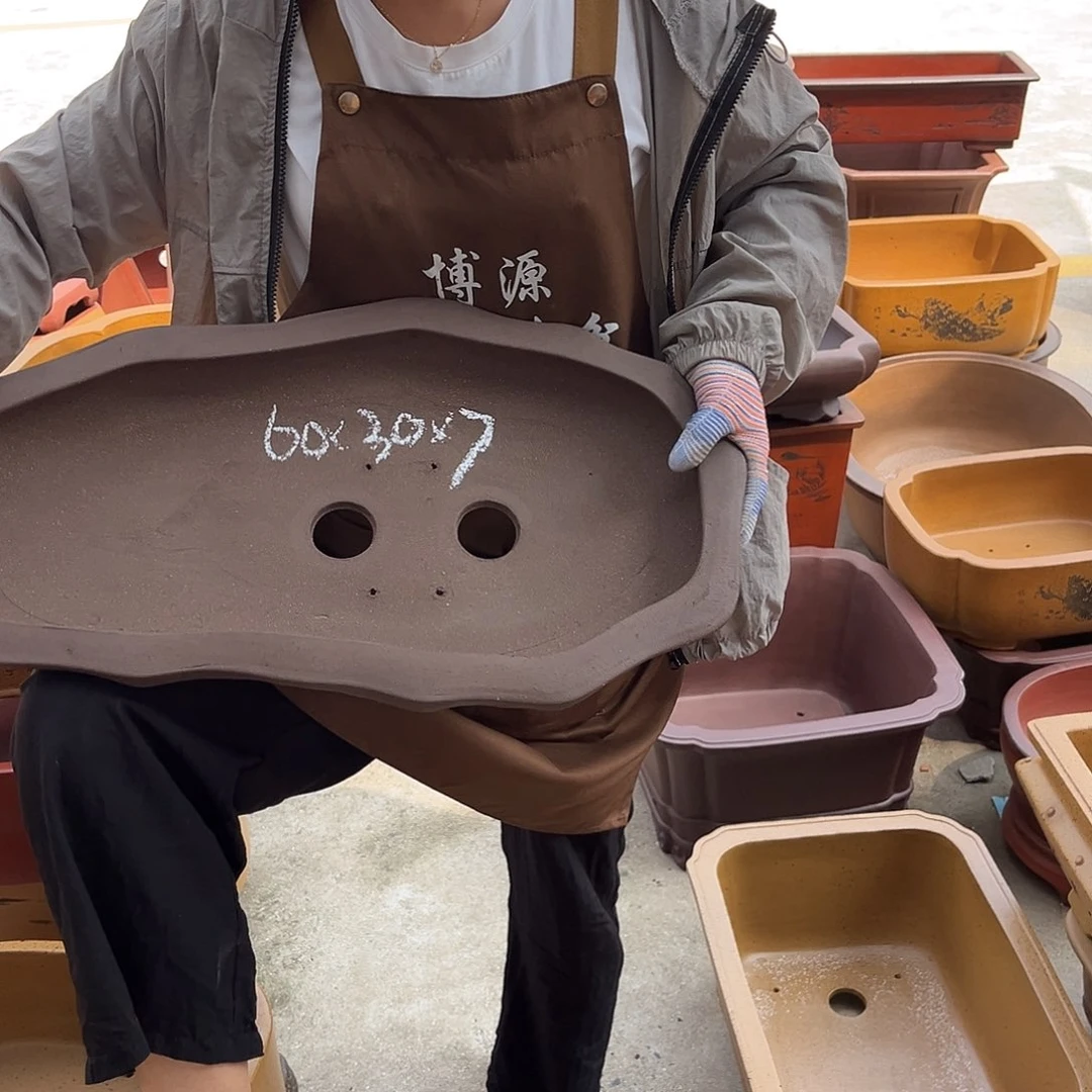 紫砂花盆盆景艺术