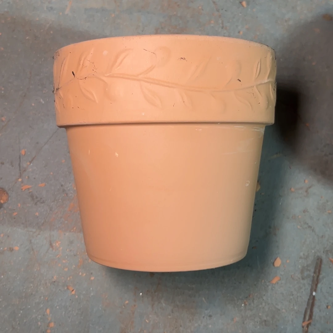 泡水橄榄16口14高1个【泡水瑕疵无售后】