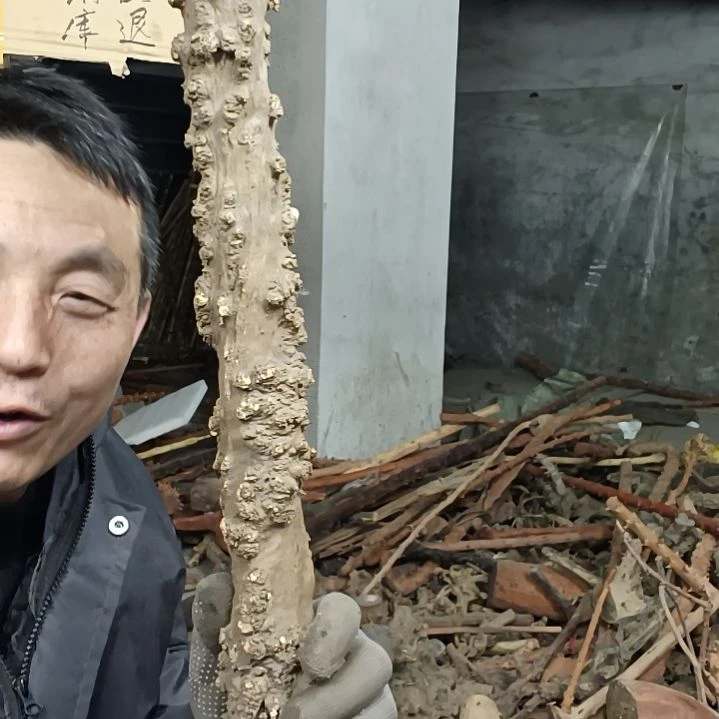 稳定木自***柴贵州檬子木   铁马鞭   根艺  半成品