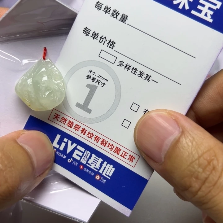 翡翠未镶嵌颈饰357