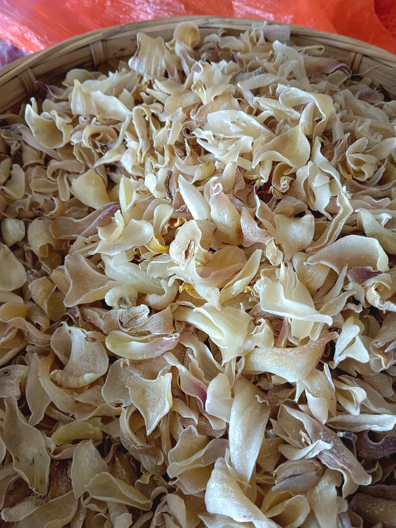 云南深山紫百合(干片)