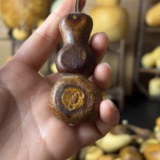 N****)粗嘴花皮八宝扁